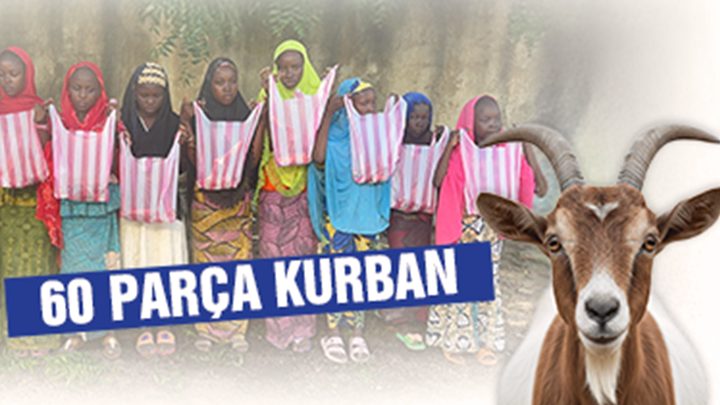 60 Parça Keçi
