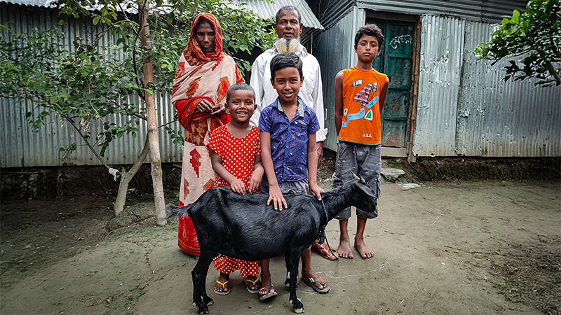 Afrika Küçükbaş Kurban Keçi