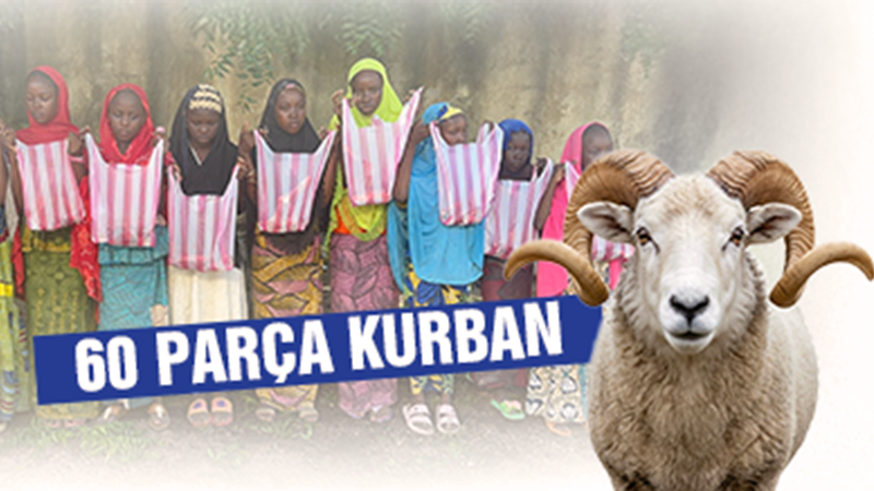 60 Parça Koç